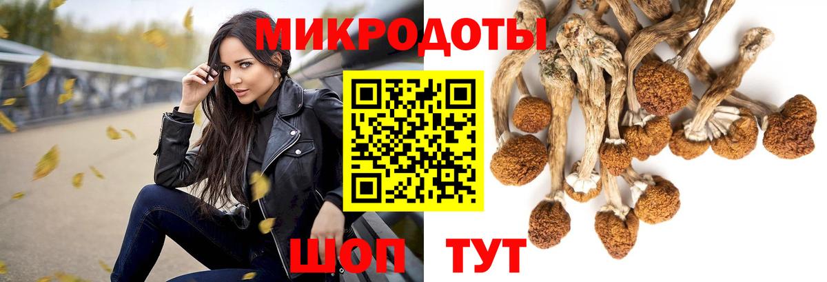 Кызыл  Галлюциногенные грибы Psilocybine cubensis  Вход с VPN 